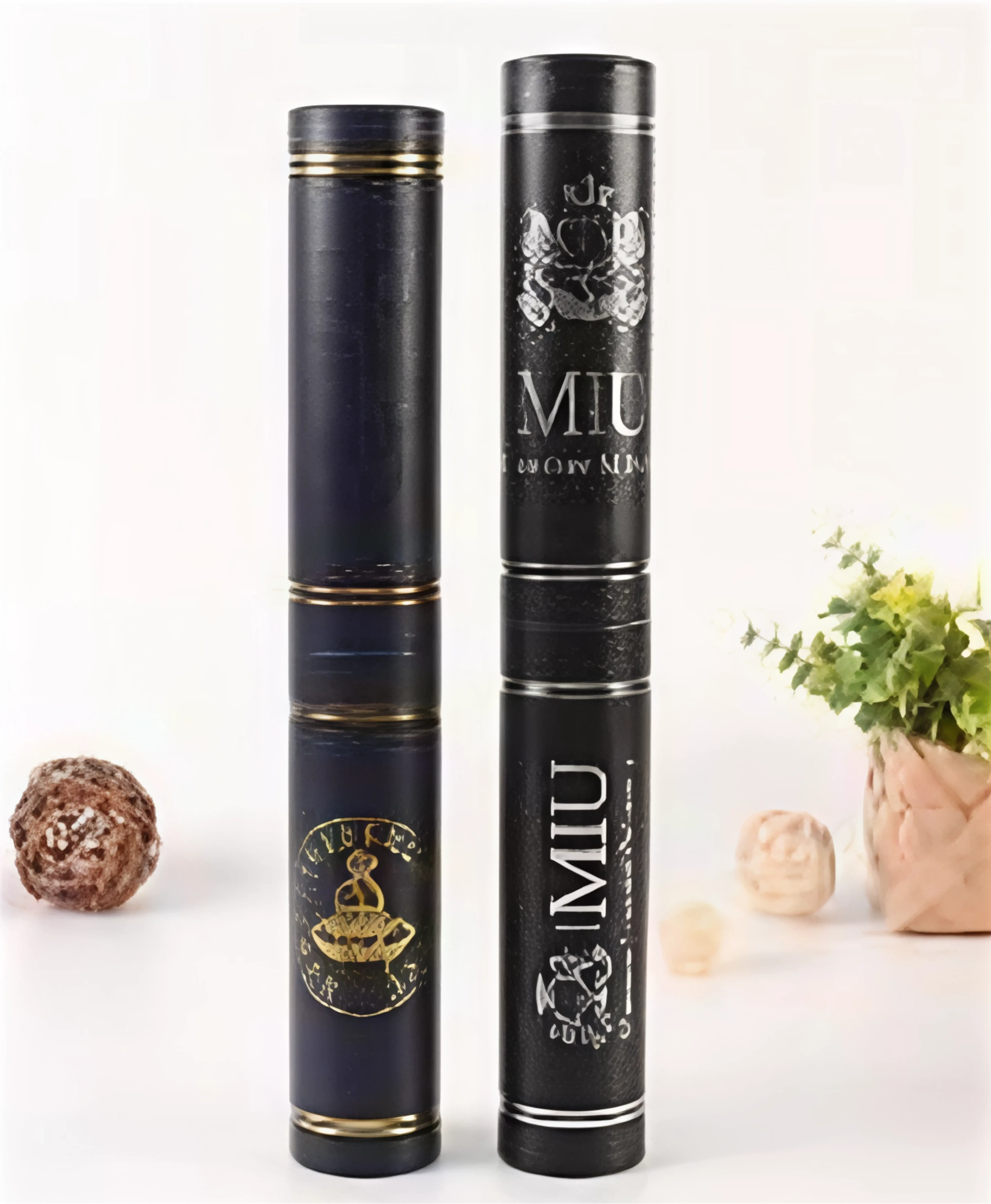 Diplomrör