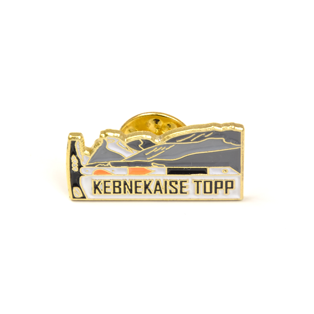 Pin