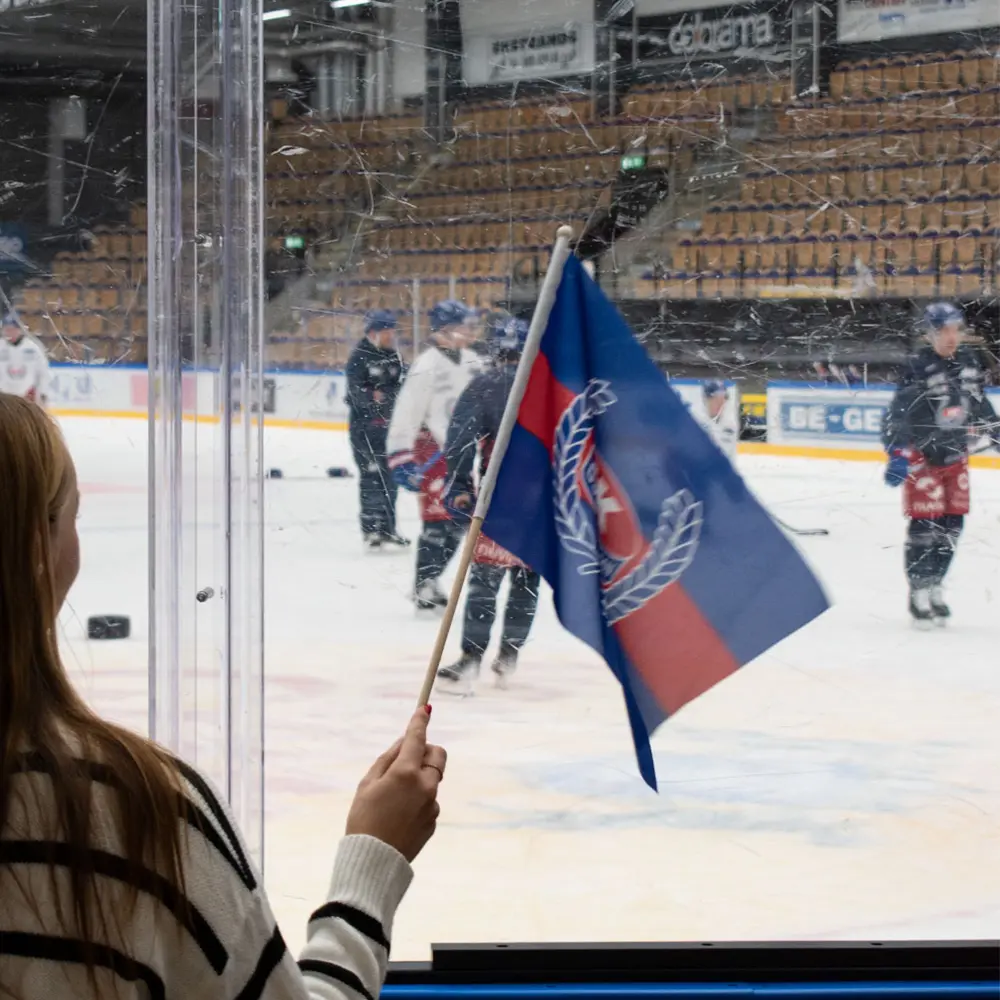 Handflagga