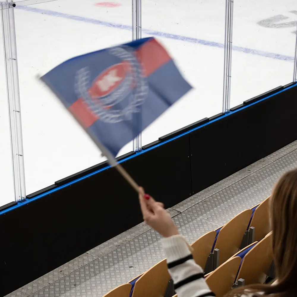 Handflagga